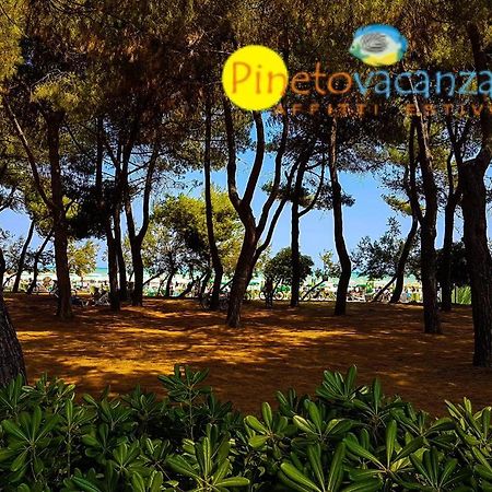 Myconos C2 - Pineto Vacanza Exteriér fotografie