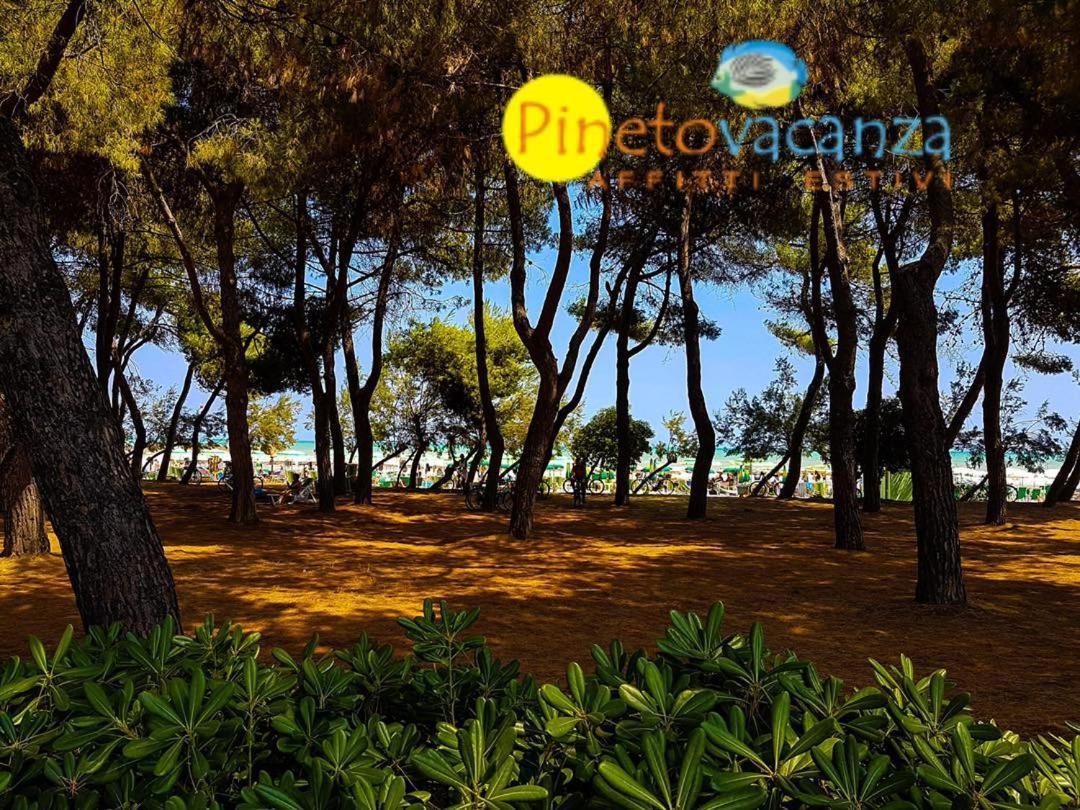 Myconos C2 - Pineto Vacanza Exteriér fotografie